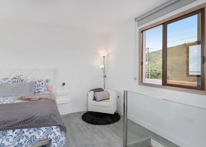 Stevier Icod De Los Vinos