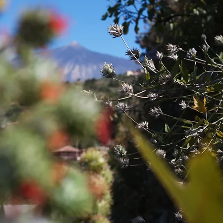 Vakantiehuis Stevier