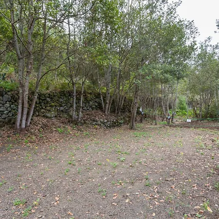 Vakantiehuis Stevier *